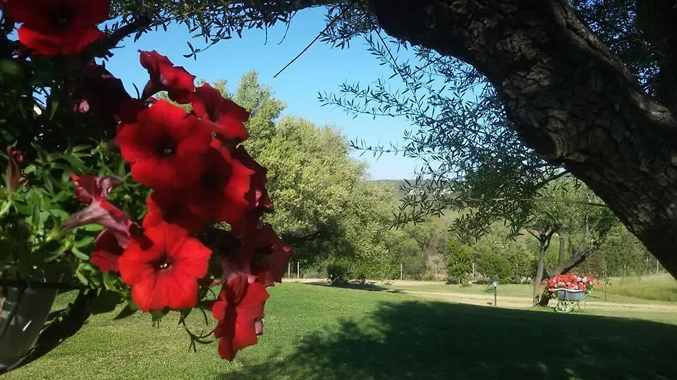 مزرعة للإقامة Agriturismo Sa Mendhula كوغنانا