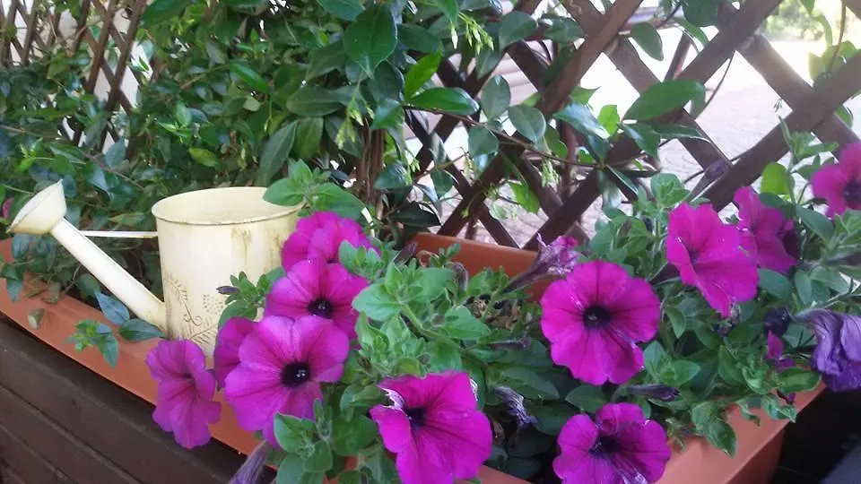 Agriturismo Sa Mendhula كوغنانا 0*,  إيطاليا