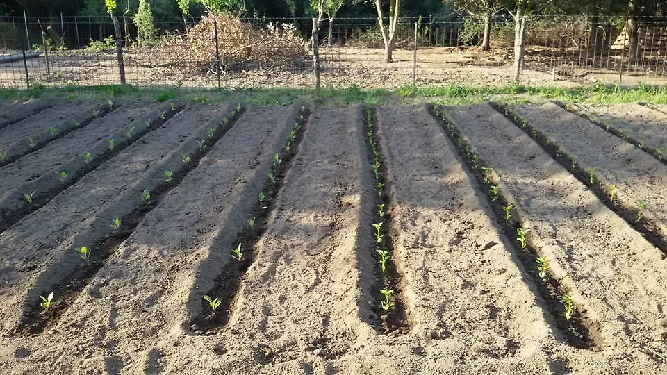 Agriturismo Sa Mendhula كوغنانا